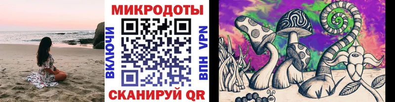 где можно купить наркотик  Верхоянск  ссылка на мегу ссылка  Псилоцибиновые грибы мицелий 